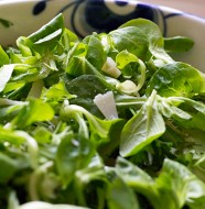 feltsalat-persille-pamesan